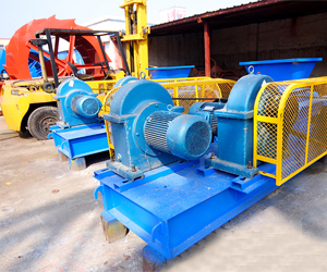 Double roller crusher